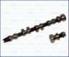 NISSA 1302061J10 Camshaft